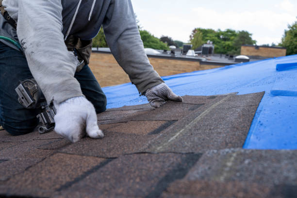Best Roof Moss and Algae Removal  in Leith Hatfield, PA